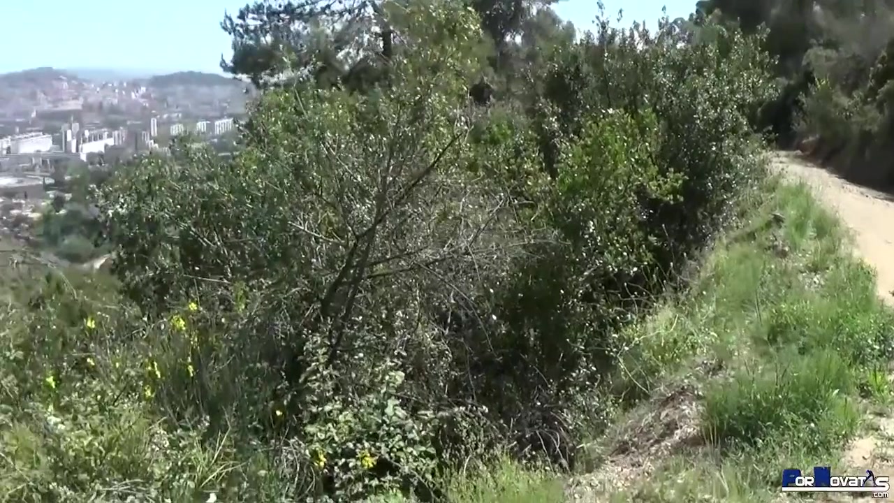 Little Spanish Brunette Mature Fucking And Sucking Big Cock In The Mountains. full Escene