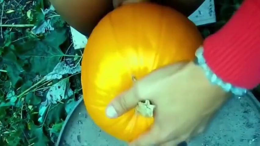 Melon Fucker Boy