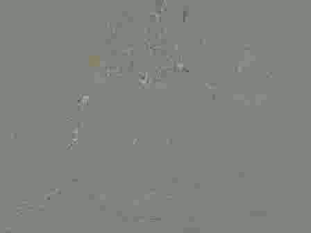 teen 18+ masturbation