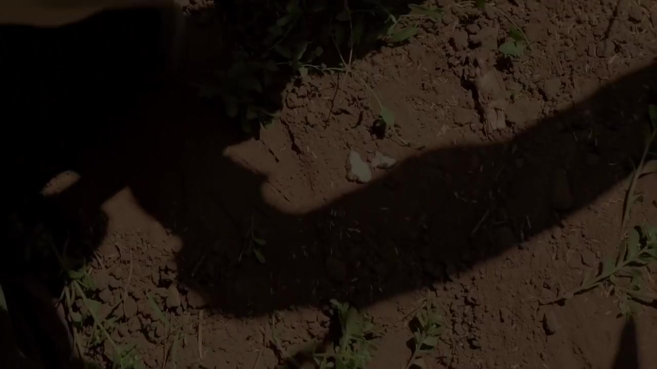 Sperm Compilation Highlights