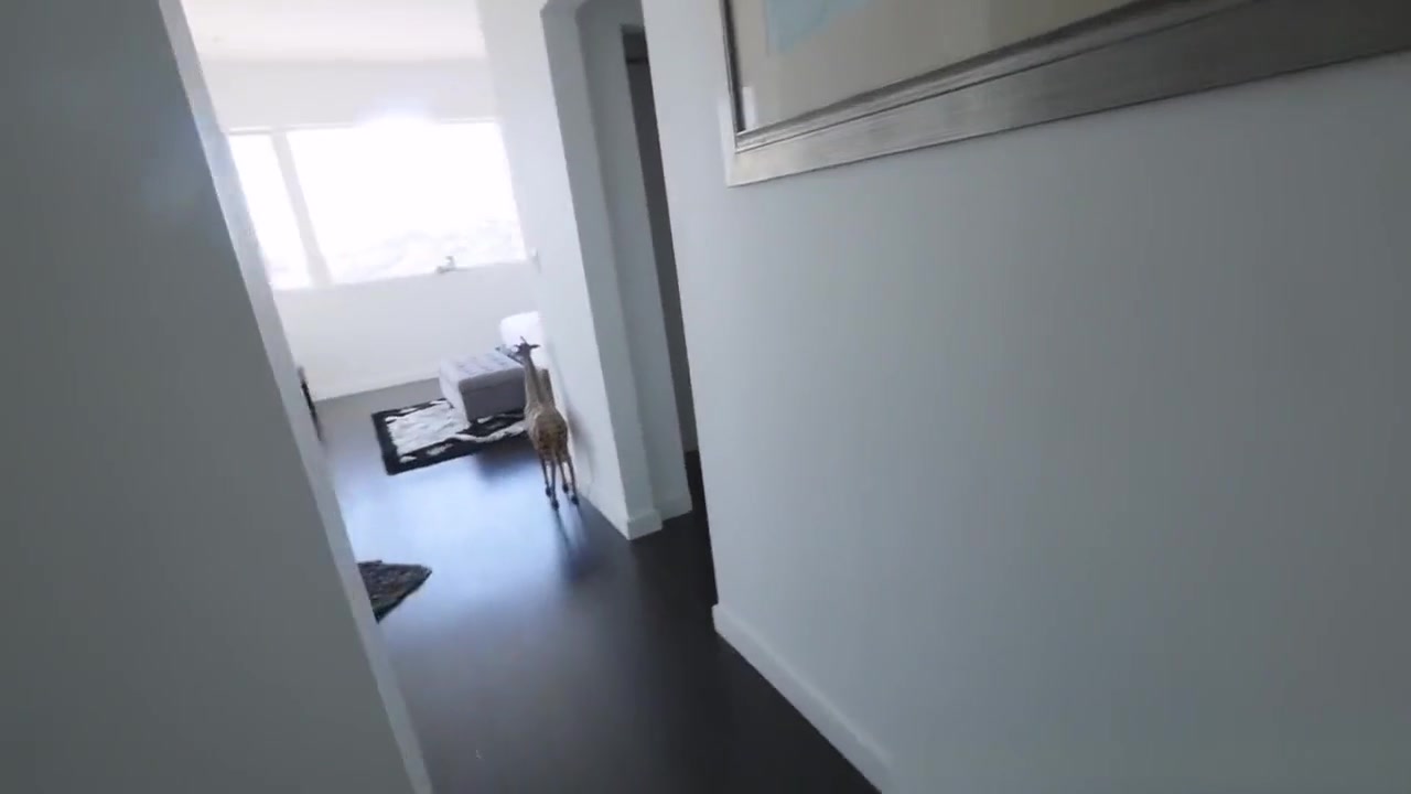 Stepsis Rides Strapon Toy
