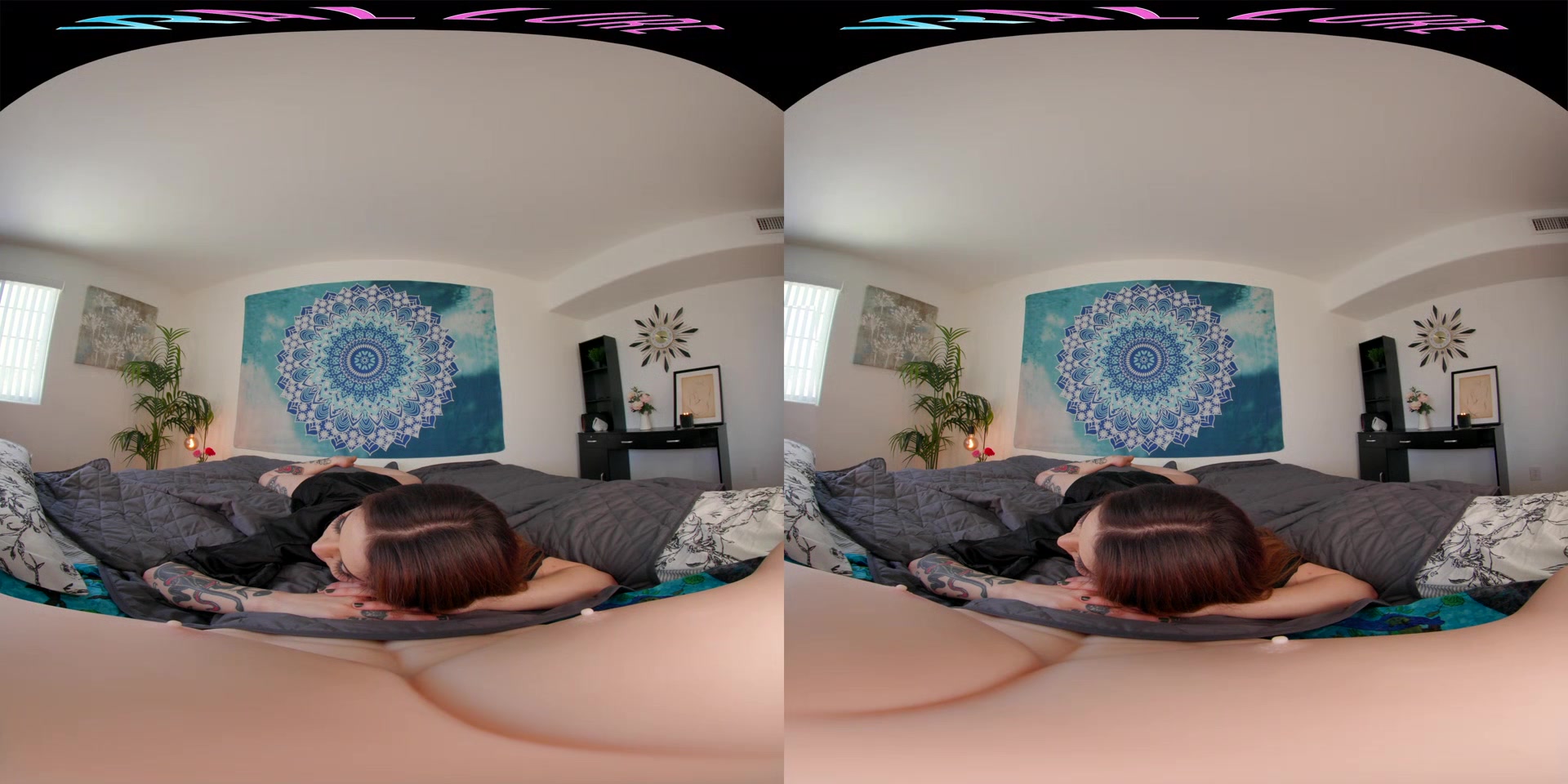 Vanessa Vega - VRHush