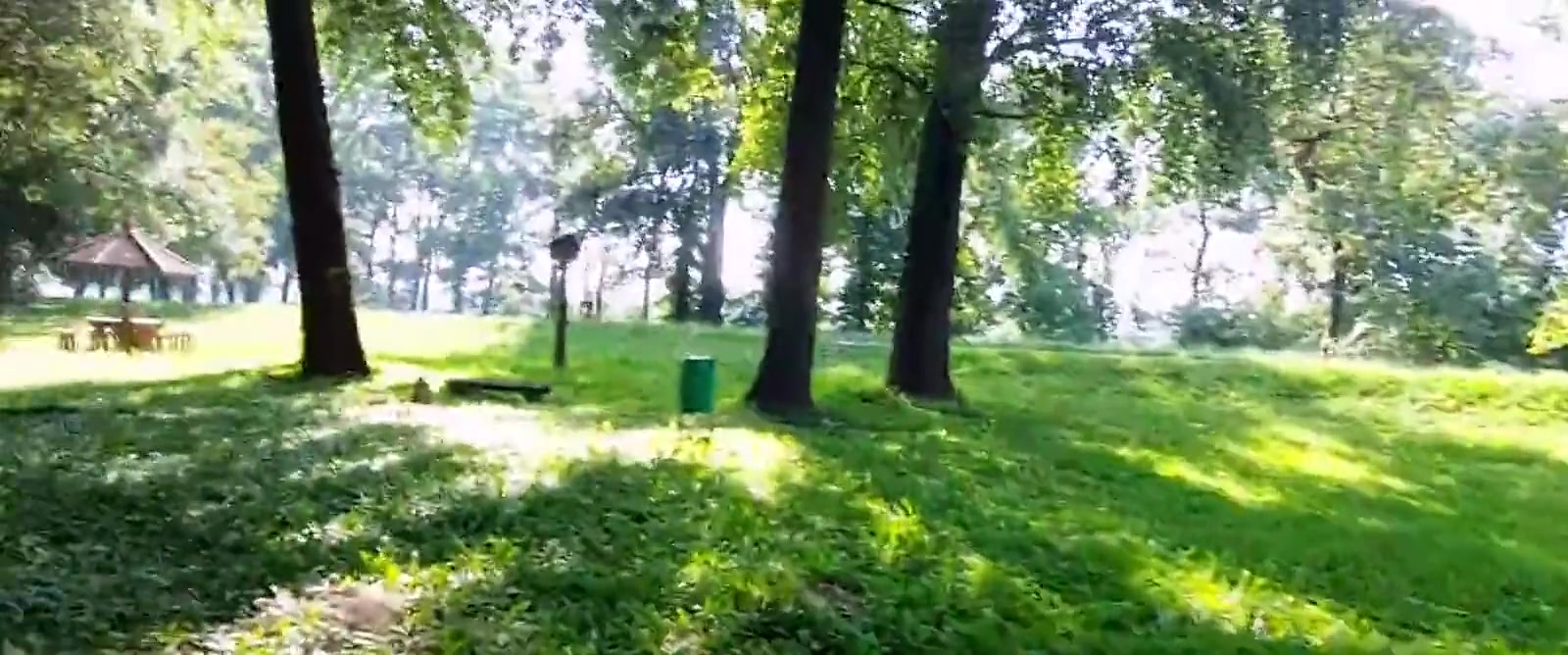 Hot Summer Wank & Cum At The Park