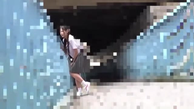 07337,Japanese lewd sex videos