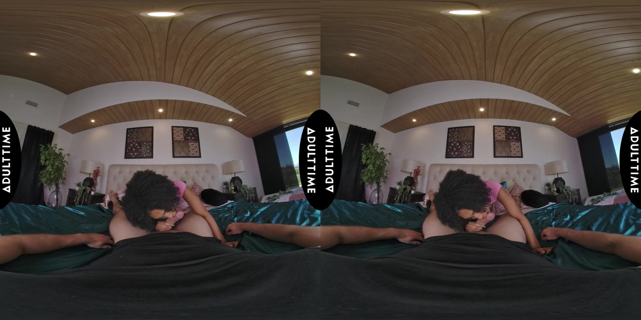 Up Close Vr With Addis Fouche