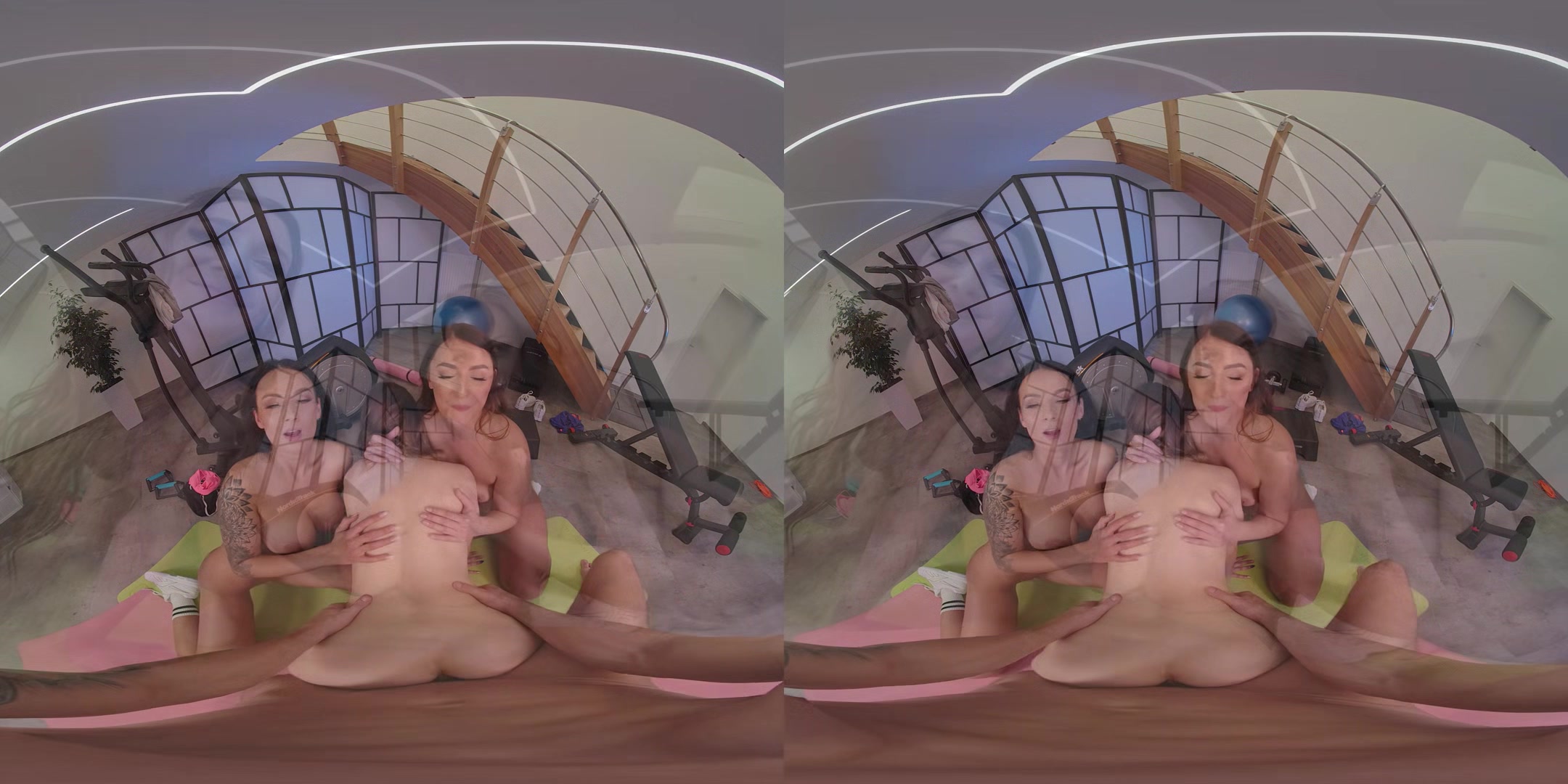 Anal Training for Three Bitches