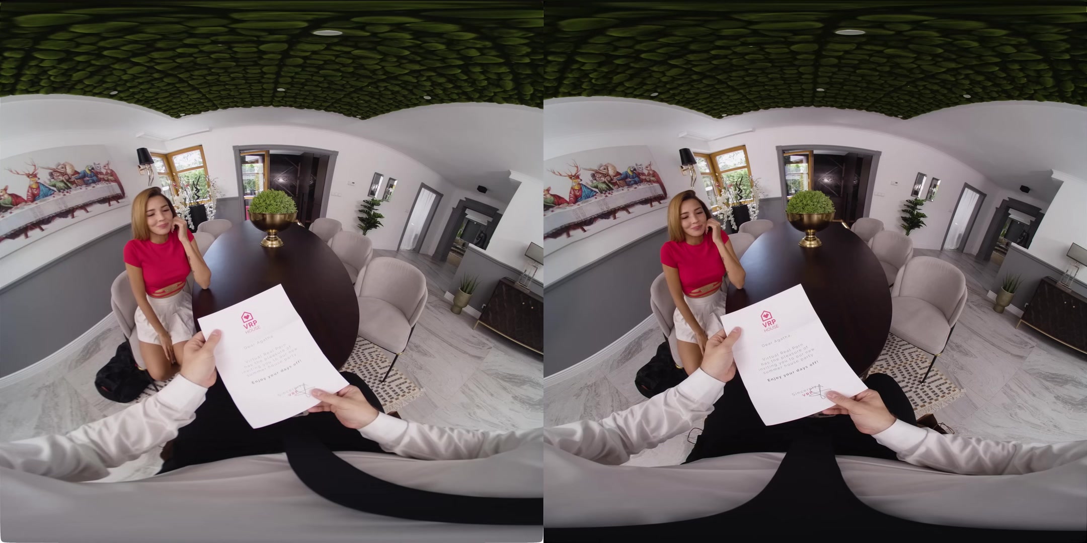 VirtualRealPorn House