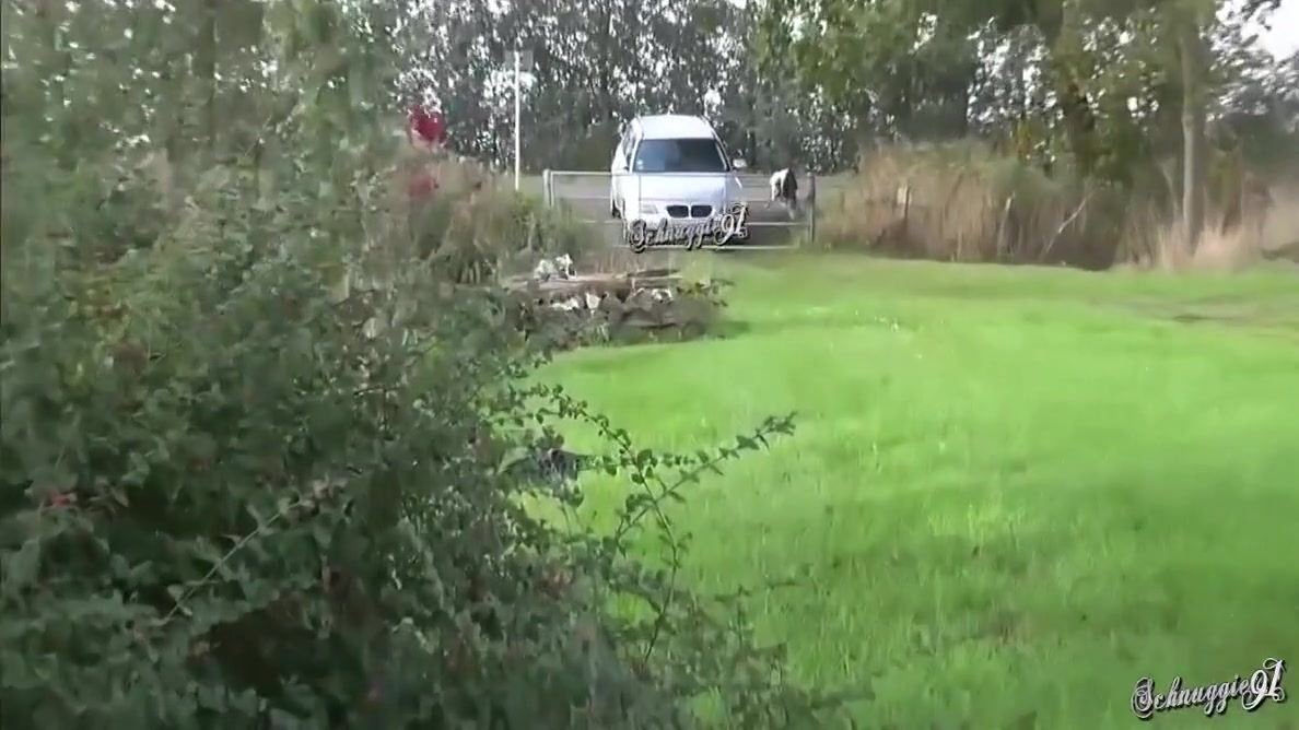 Public Bj! Hattest Du Gehalten