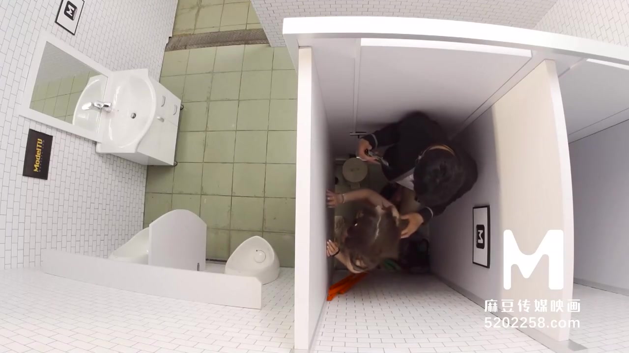 Sanitary Partitions Are Hard To Stop Passion Sex-mdwp-0022