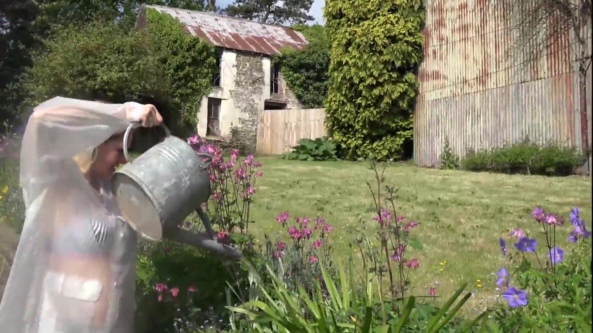 Watering My Plants Pt1 - TacAmateurs