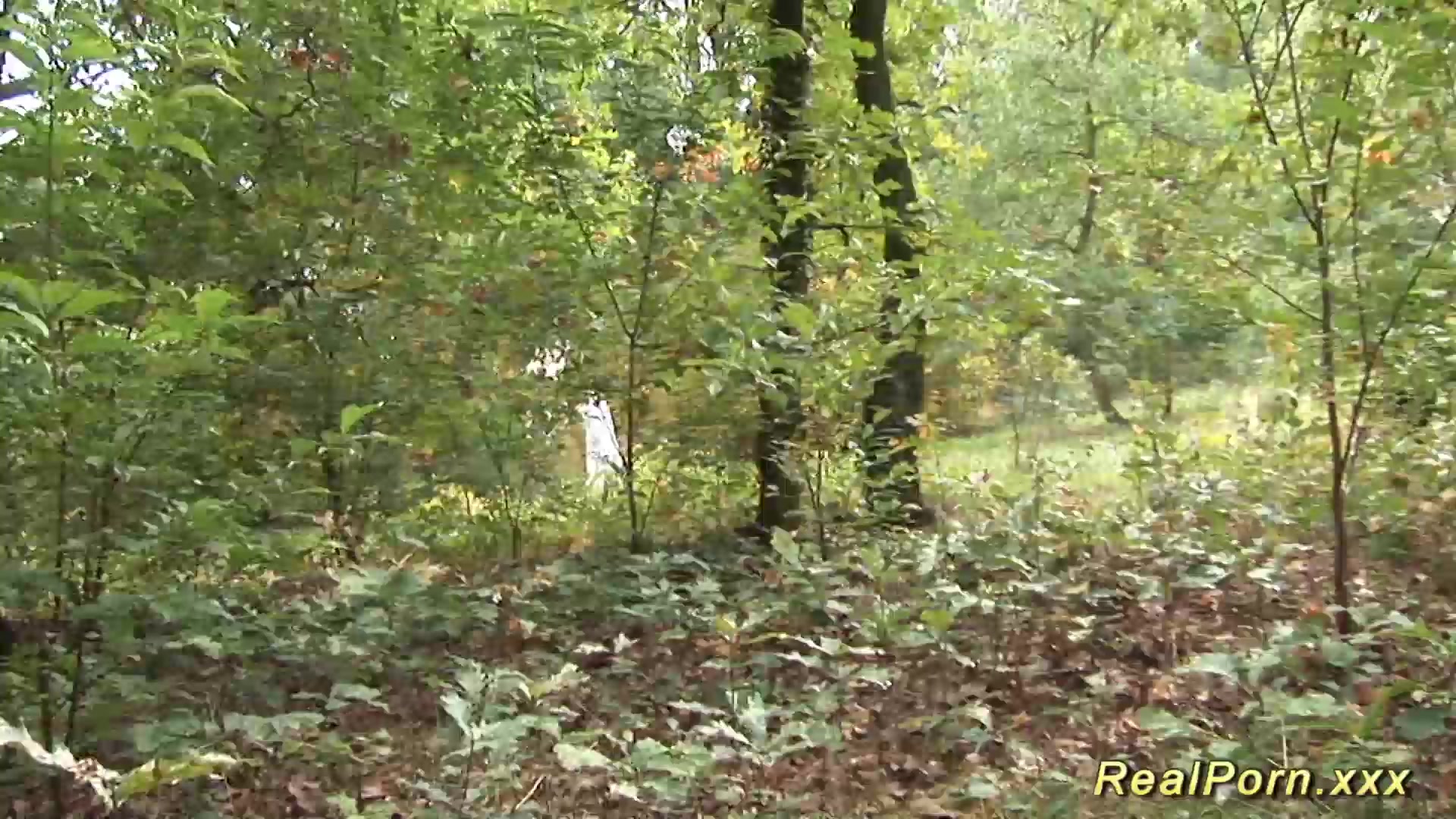 wild anal fuck in the wood