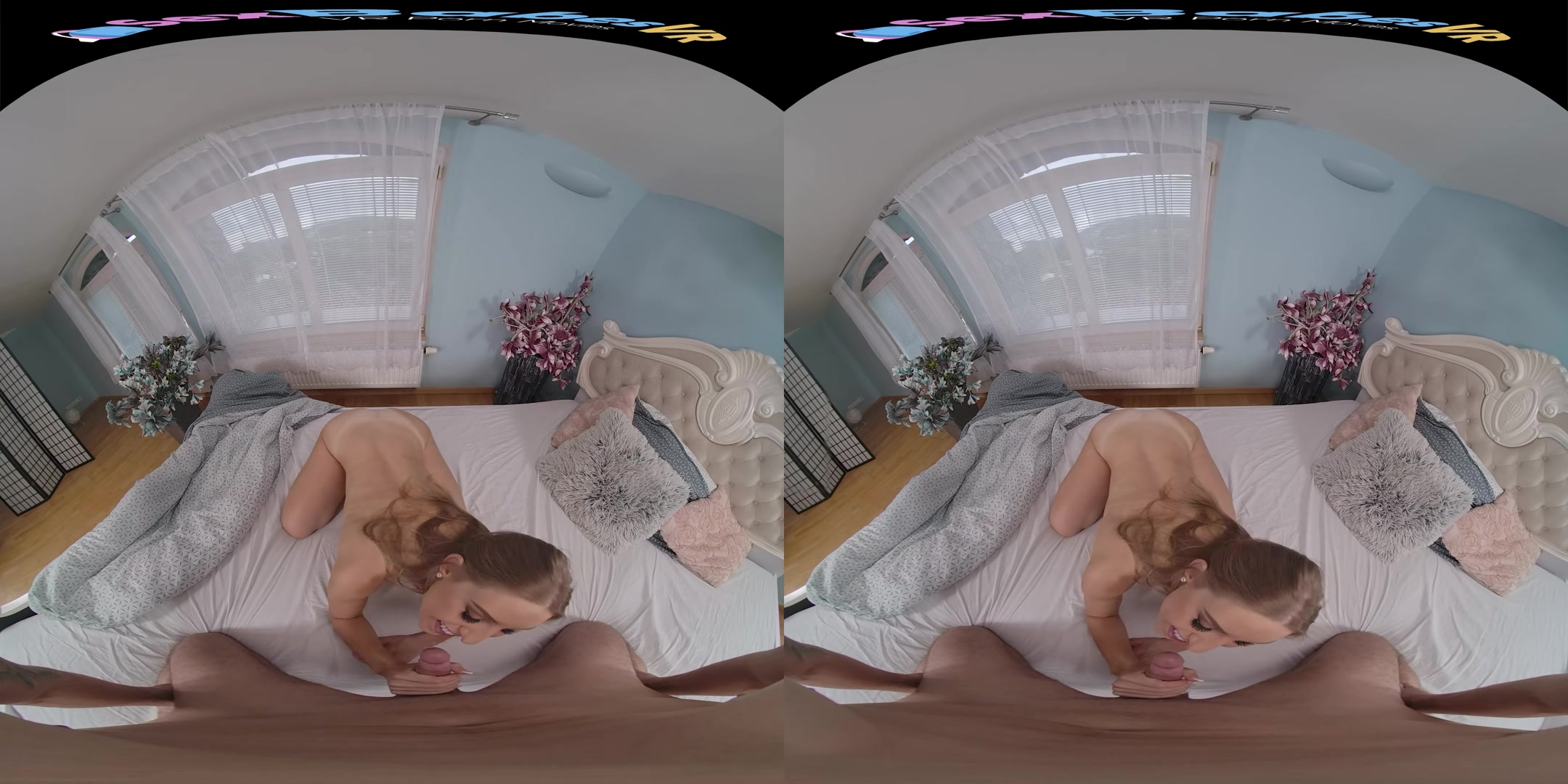 Naughty House-Sitting - SexBabesVR