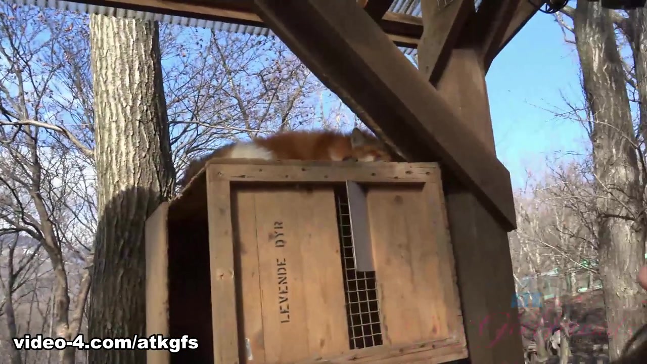 Gia Paige in You And Gia Enjoy A Wildlife Sanctuary In The Country - ATKGirlfriends
