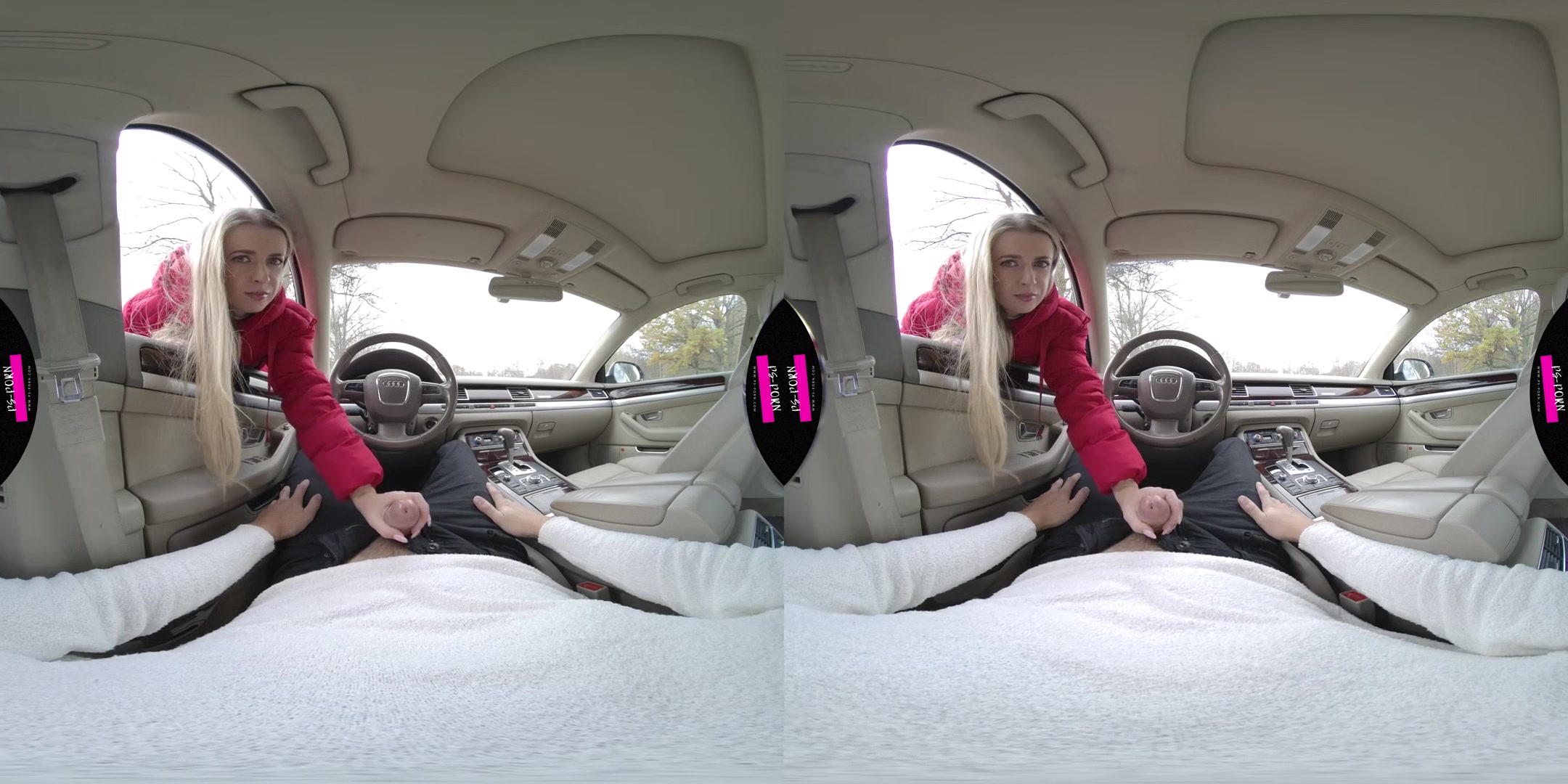 Sex In The Car With Adriana