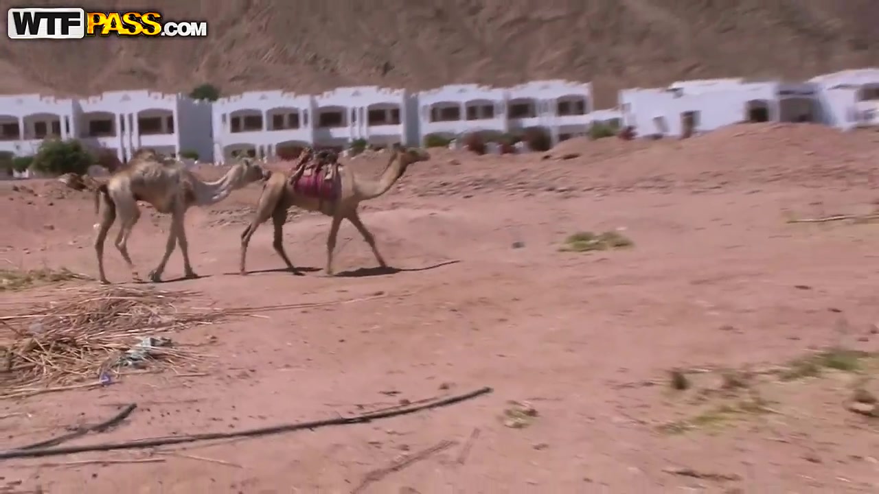 Tourists wanted to have some extreme during their vacation