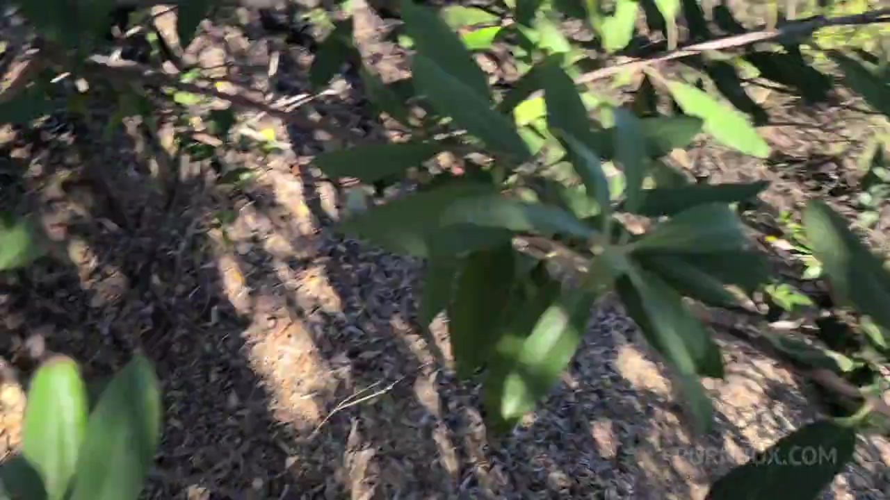 Tru Kait Outdoor Fuck - PissVids