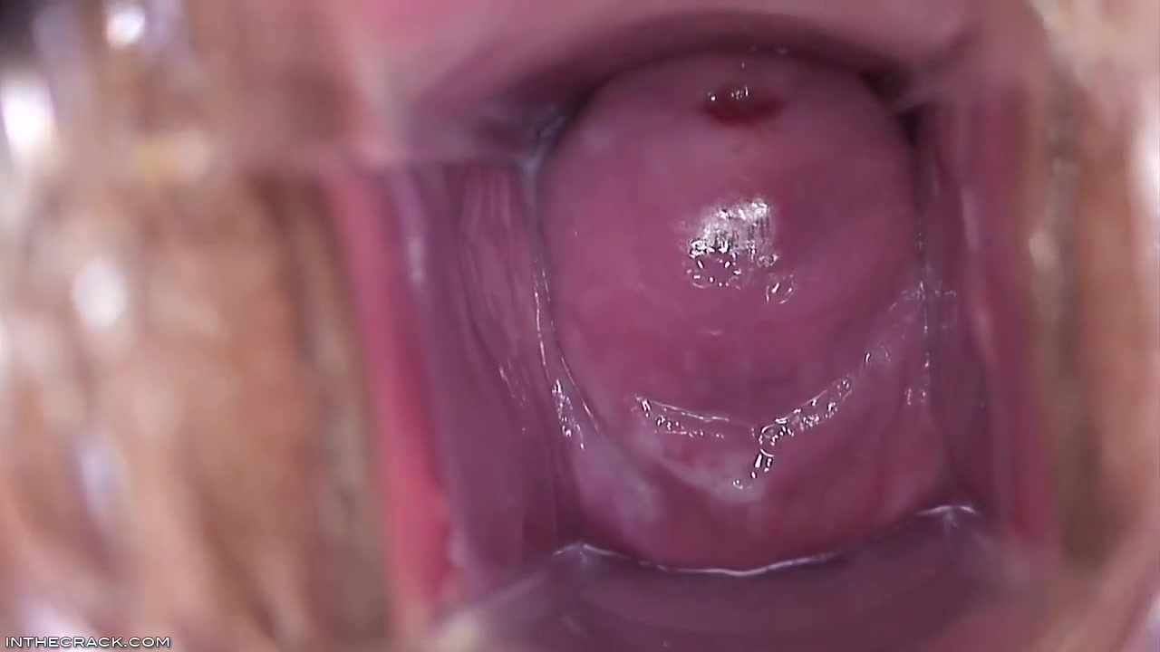 Inside Brandys Pussy