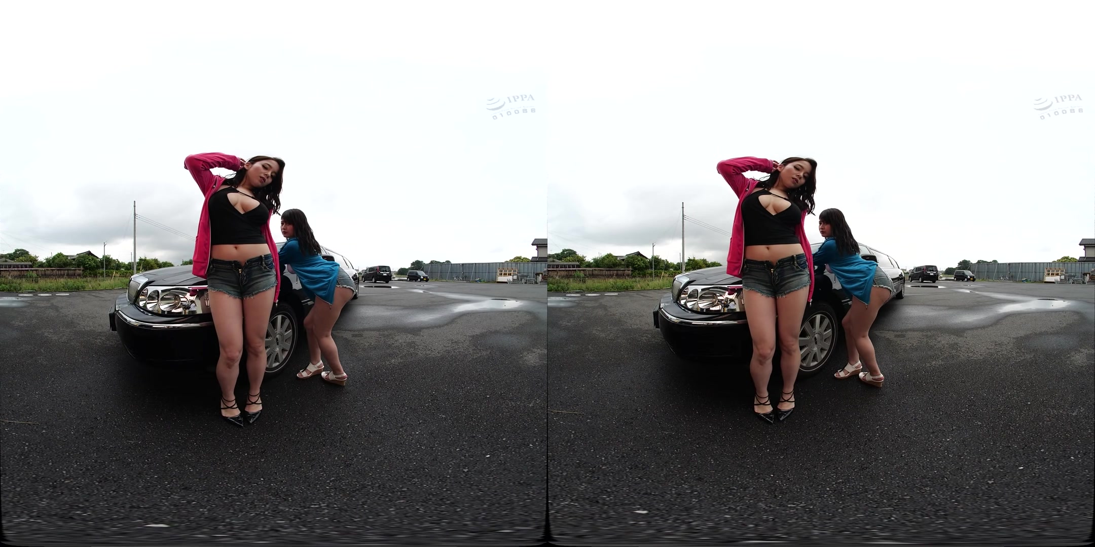 Limousine Harem: VR MFF Threesome with Two Beauties - NATURALHIGH