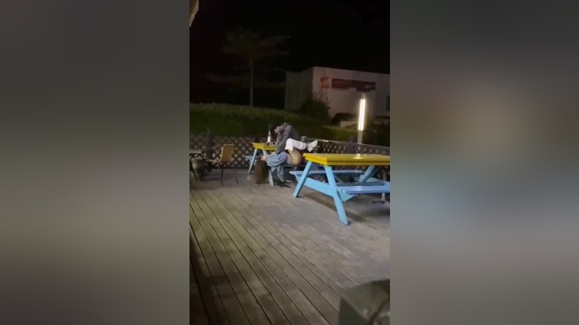 Beautiful young woman with short hair who is both temperamental and gentle gets a fuck.