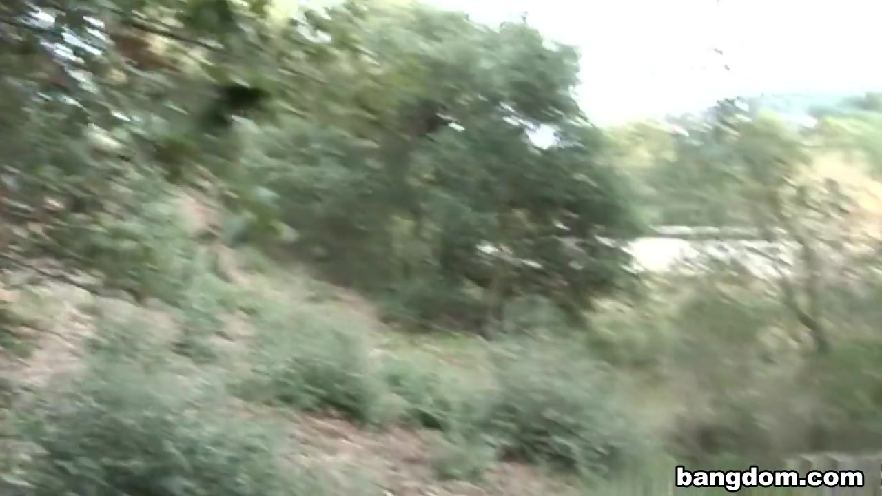 Tiger In The Wood