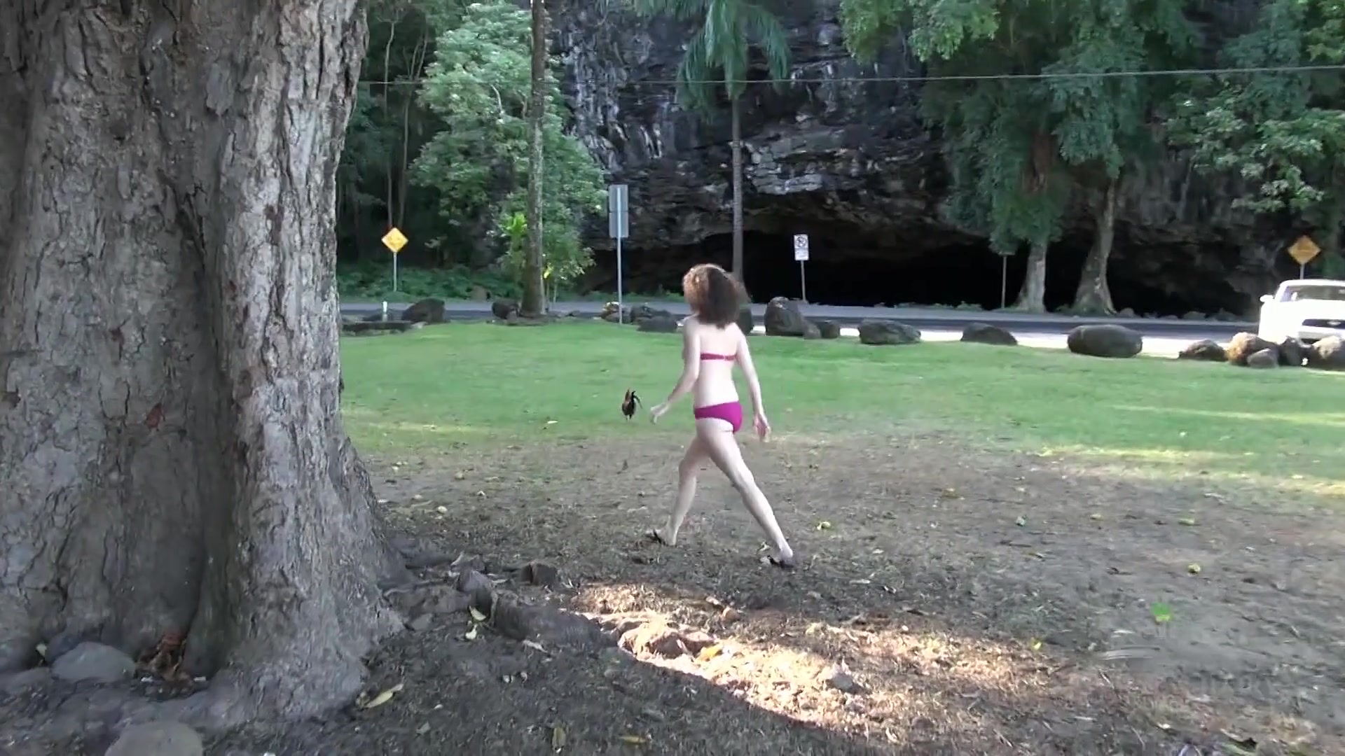 Amateur Travelogue With Sativa Verte