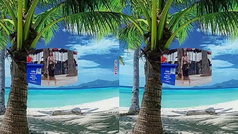 Classy Asian Lady At The Beach Ends Up In Porn