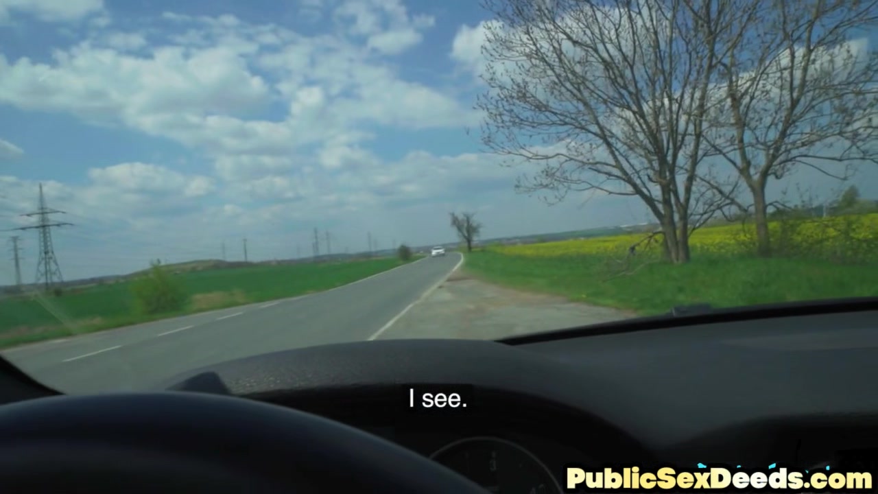 Stunning amateur babe picked up and banged in car POV