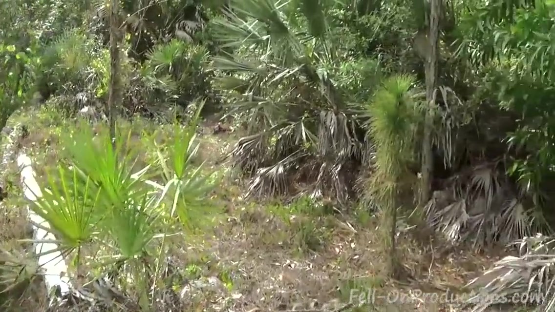 Milf Gets Facial In The Woods In Step moms 21st Birthday Surprise 5 Min - Madisin Lee