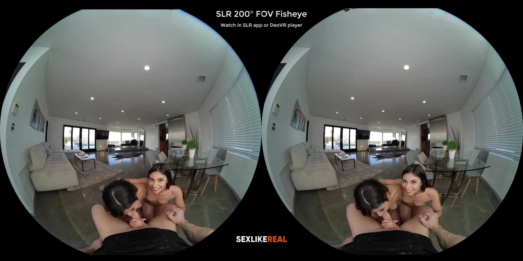 Amazing Blowjob - Duo & Trio Edition - Compilation