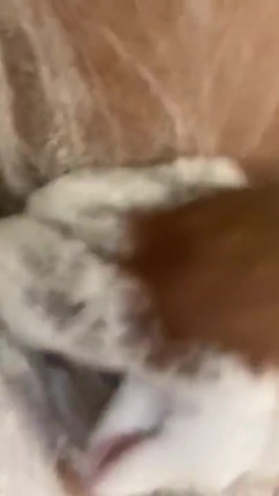 Ftm Shower Play