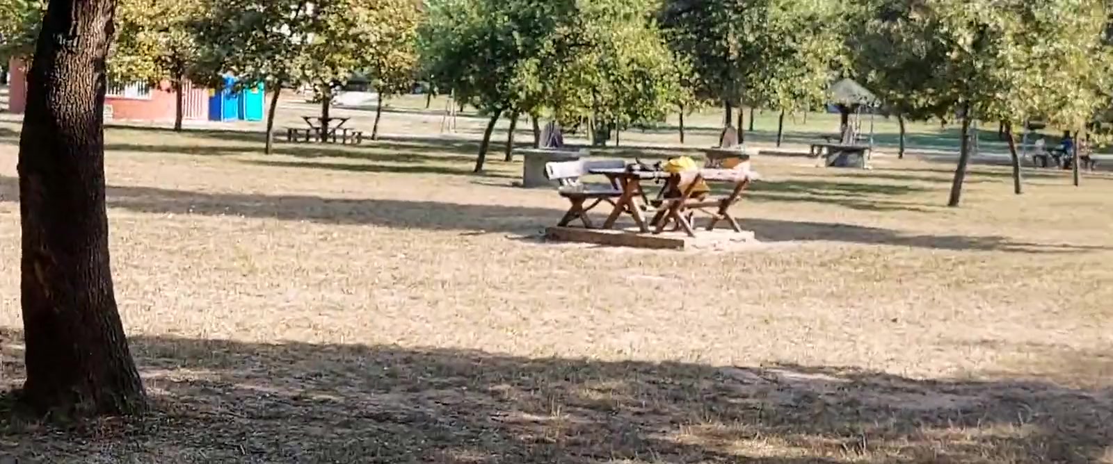 Hot Summer Wank & Cum At The Park