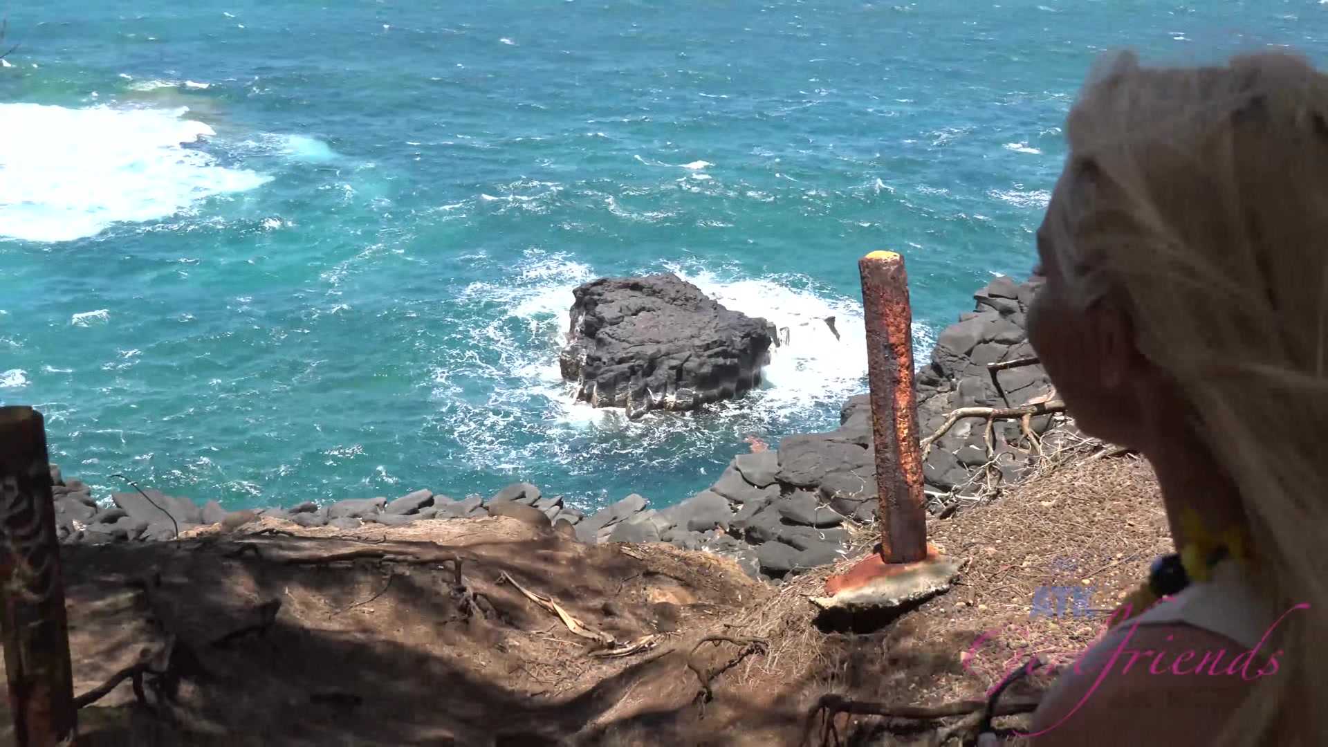 Virtual Vacation Hawaii Aaliyah Love 1/3