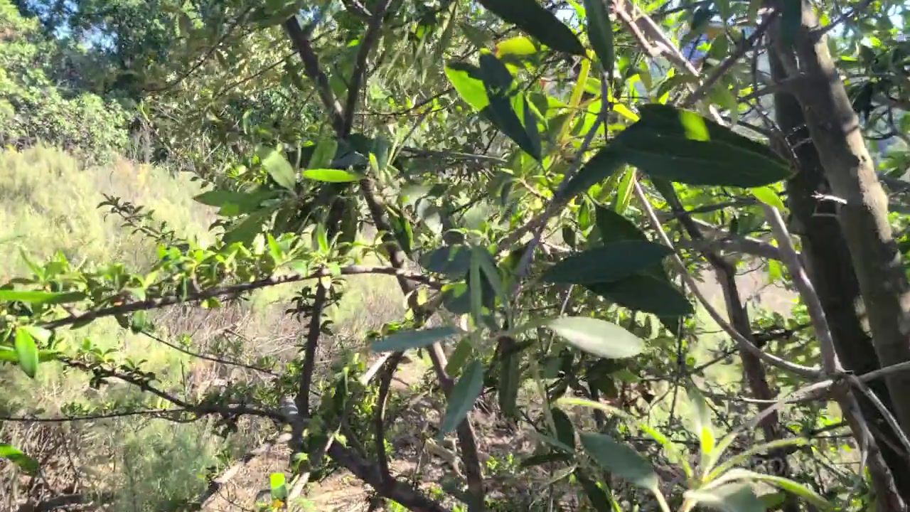 Tru Kait Outdoor Fuck - PissVids