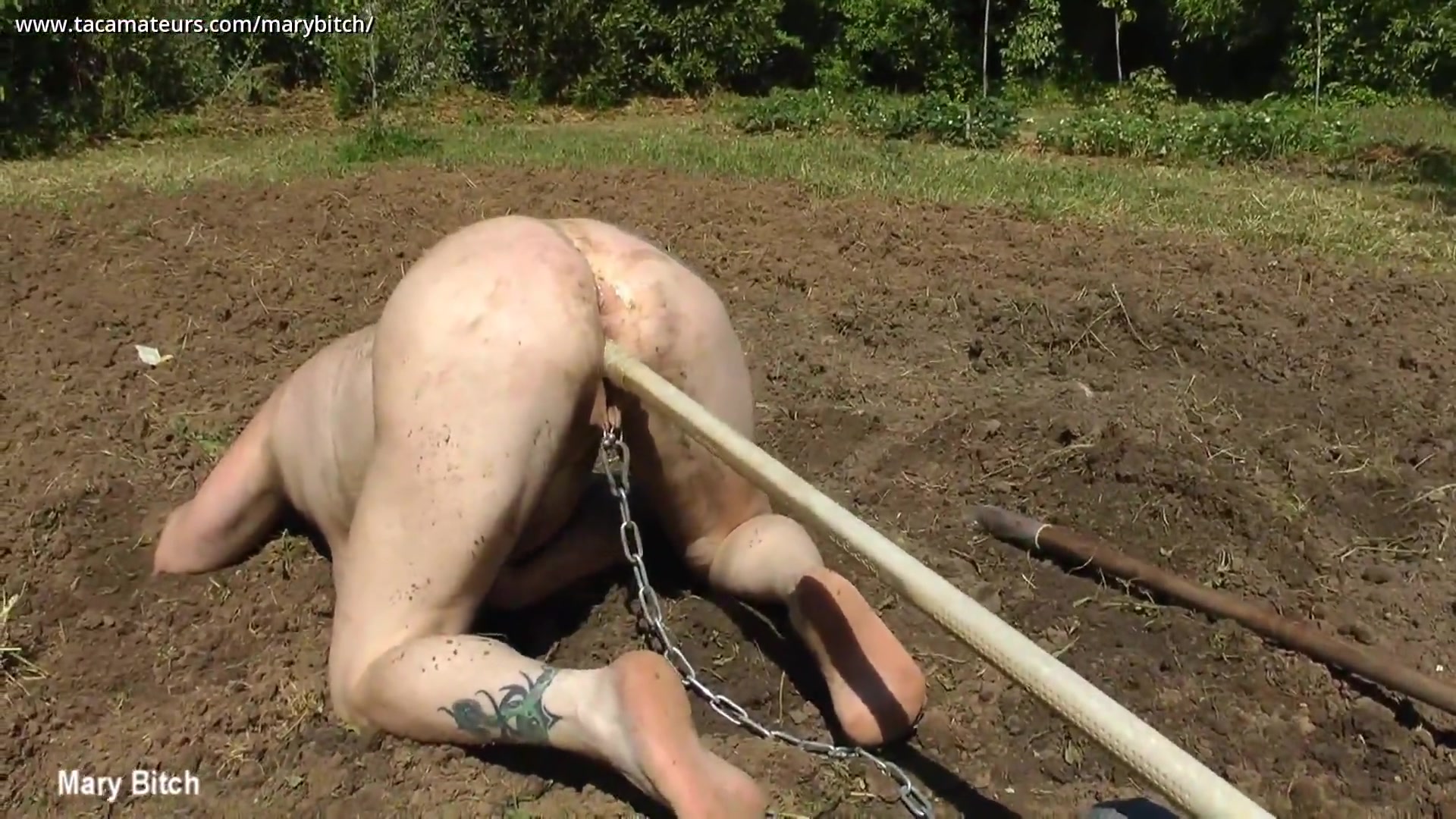 Gardening For Naked Slave Slut Pt4