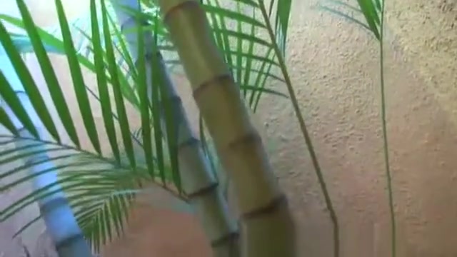 brunette shemale In dark nylons Masturbates