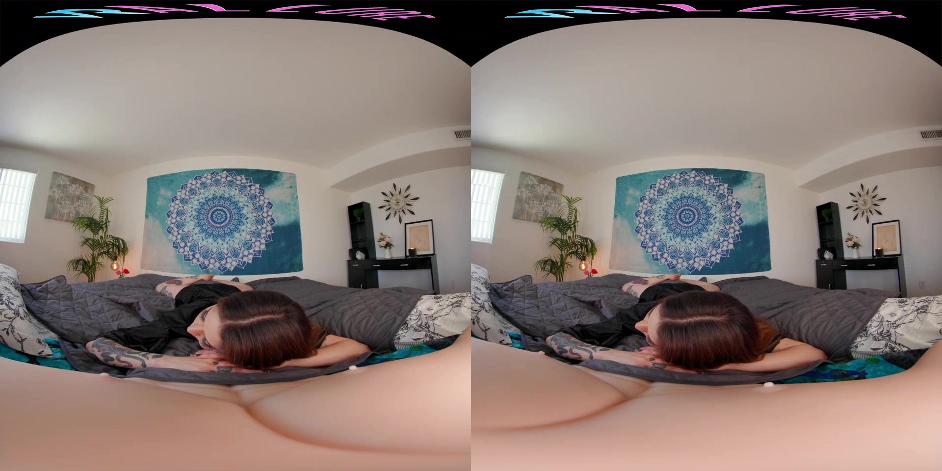 Vanessa Vega - VRHush