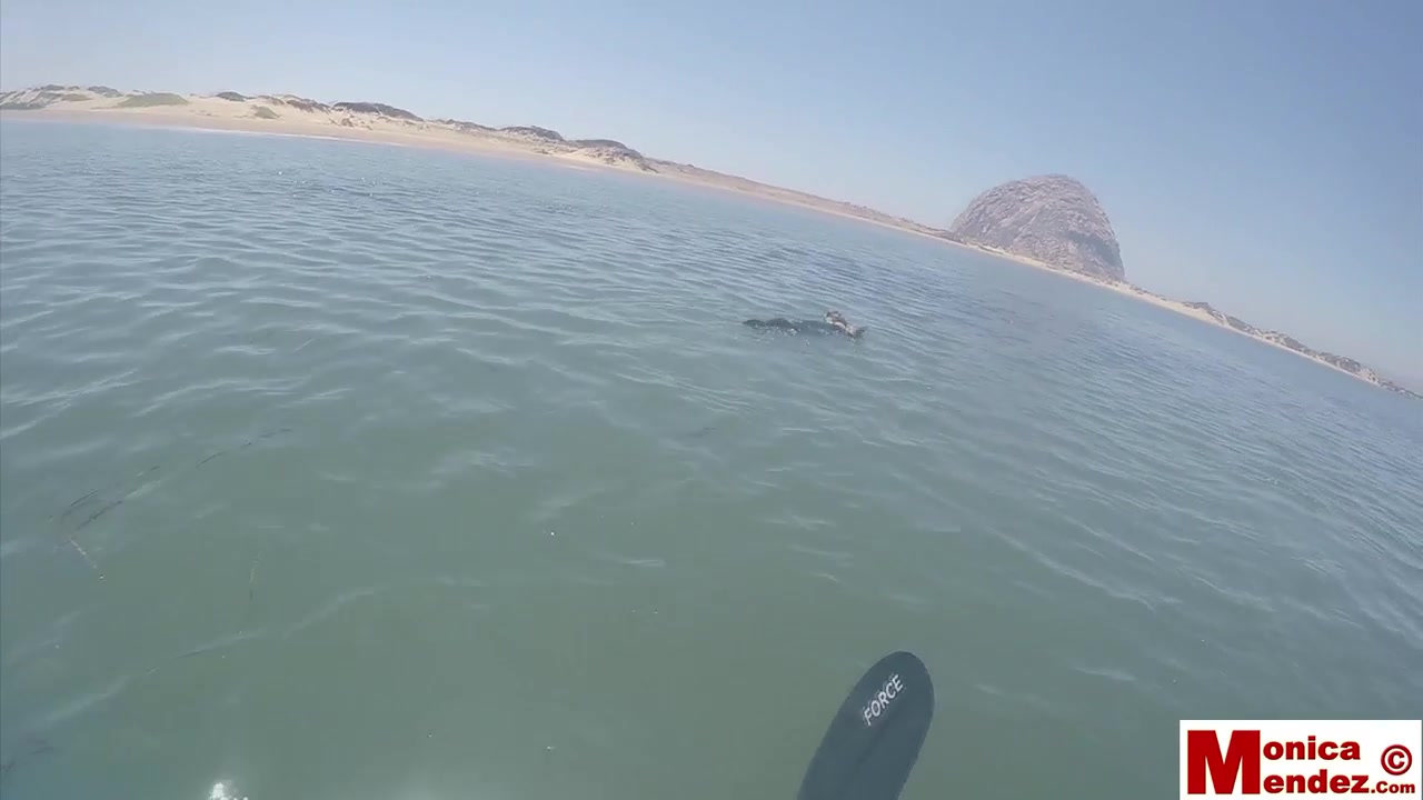 Monica Mendez - Kayak Flash 1