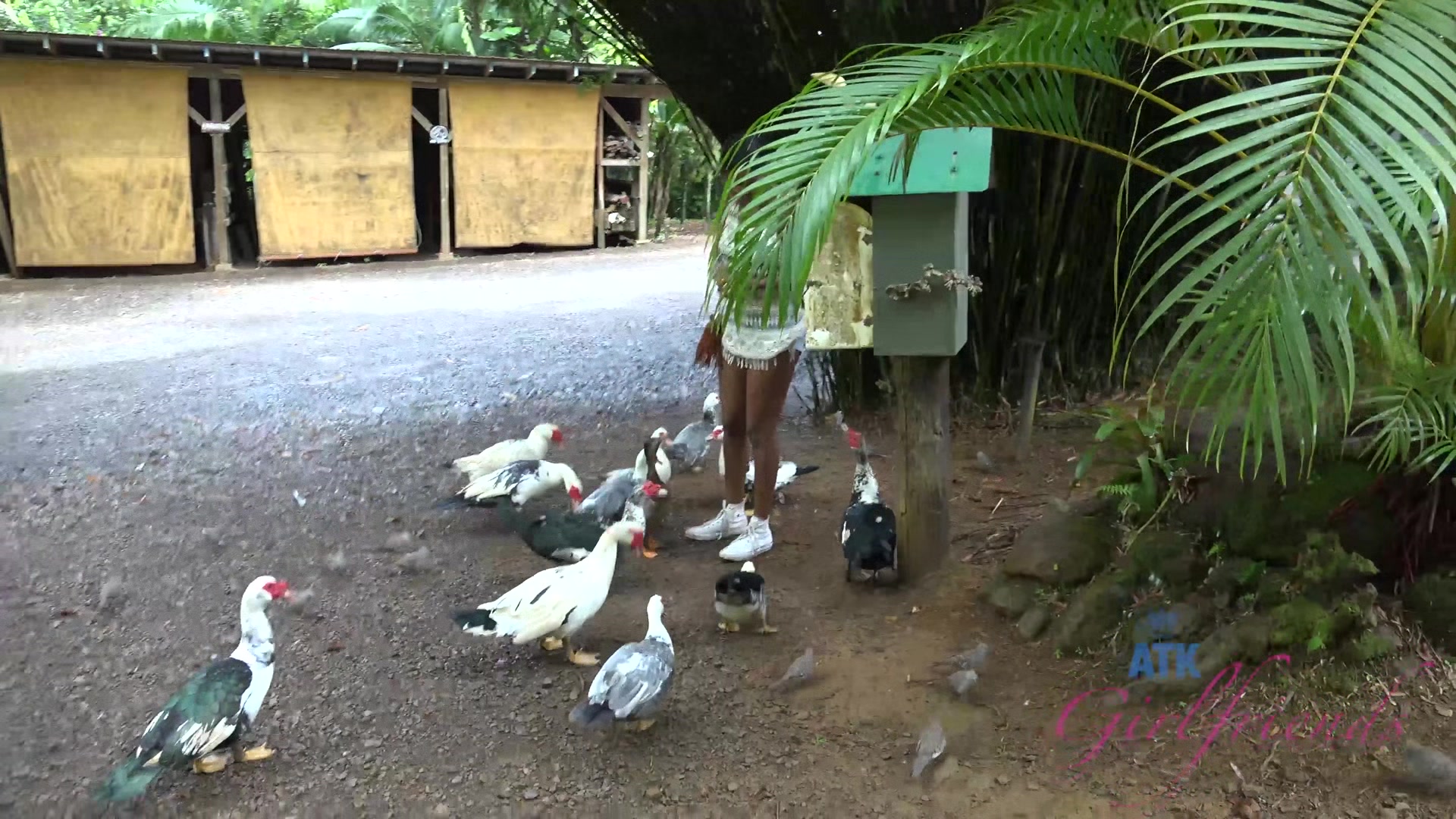 Virtual Vacation In Hawaii With Yara Skye 7/11