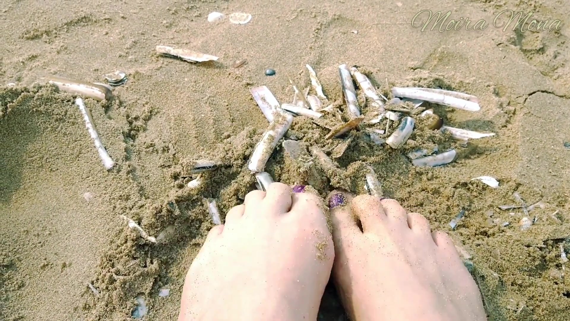 Sand And Shells Under My Feet