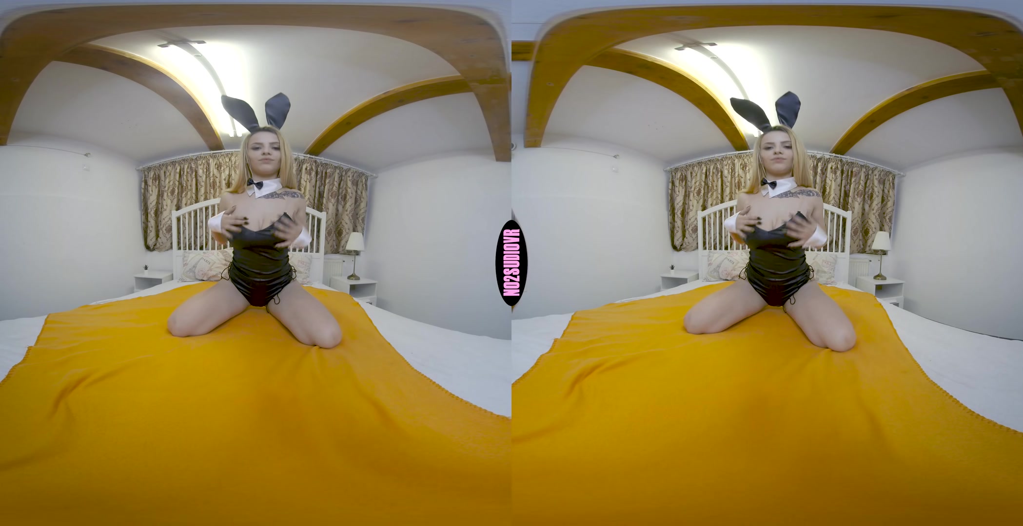 Horny Bunny - No2StudioVR