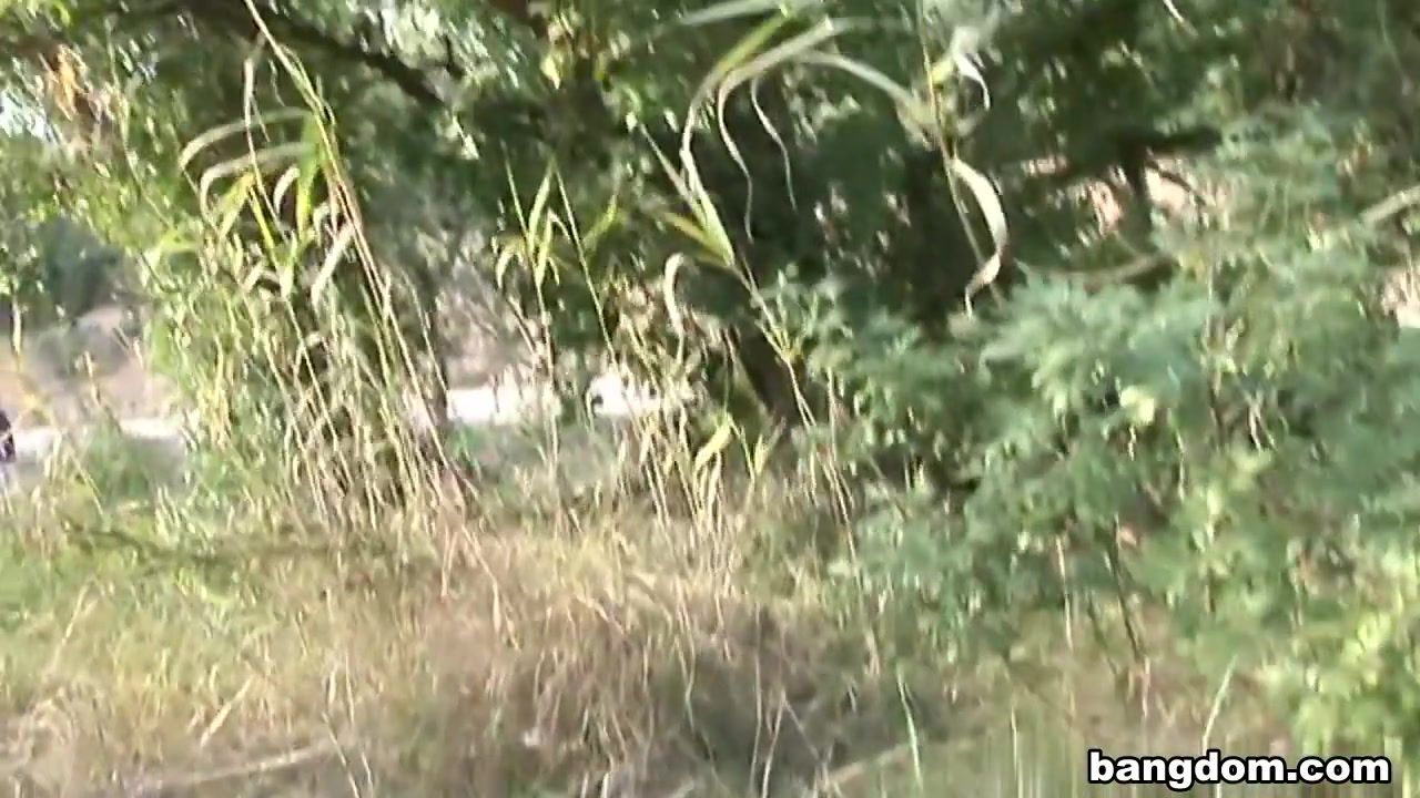 Tiger In The Wood