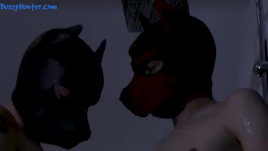 Puppy Couple Fucking Under The Shower Puphouse