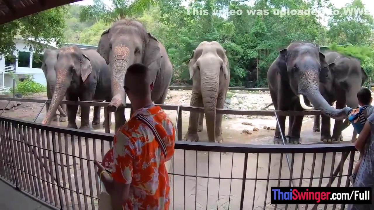 Amateur Thai Girlfriend Went To See And Has Sex Afterwards With Bf 7 Min