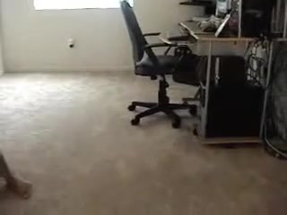 Ebony women get fucked by a black delivery guy