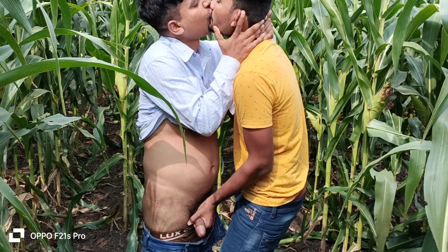 Indian Gay - Today Collage Boy & College Teacher I Saw A Corn Field Side Of The Forest So I Enjoyed Going To The Corn Field