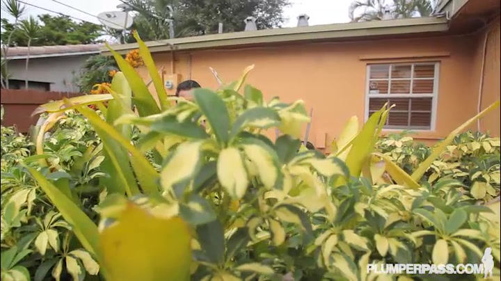BBW Peeking - PlumperPass