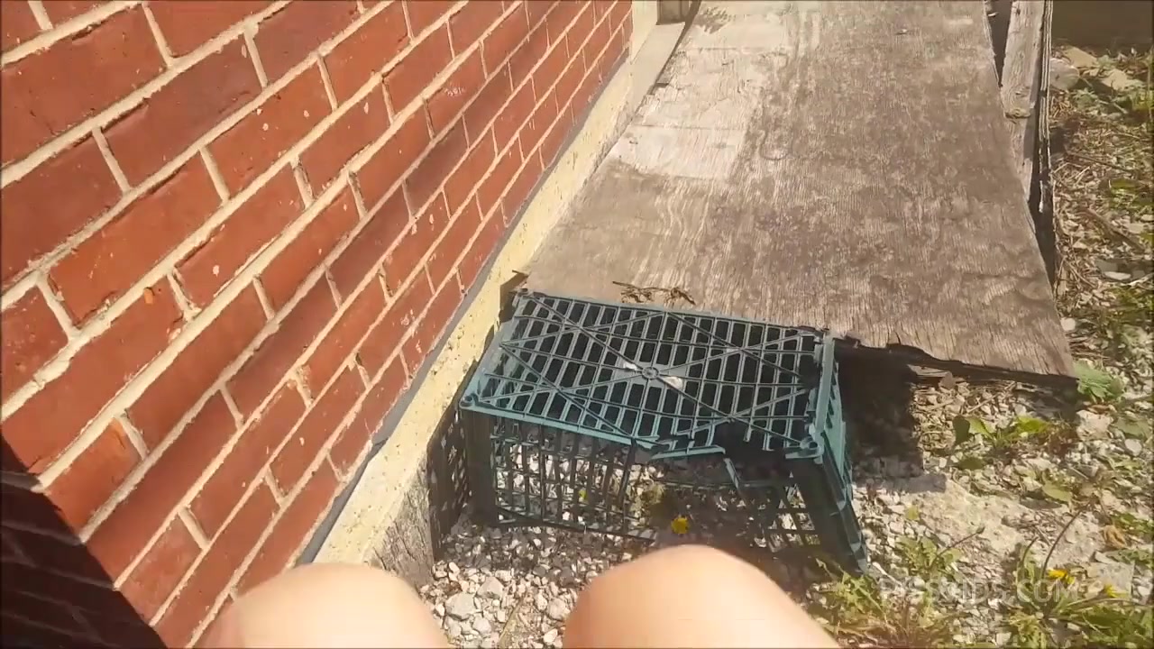 HOT PEE SCENES / LITTLE PUCK AMATEUR - PissVids