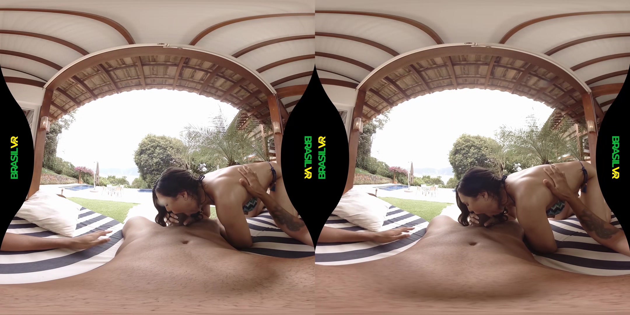 Take The Plunge - BrasilVR