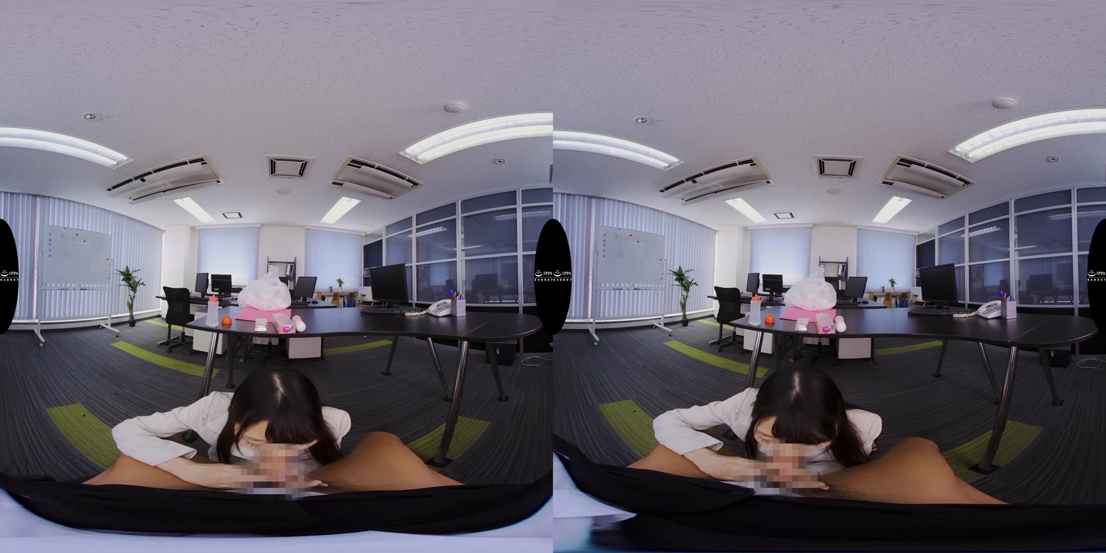 Yuri Arakawa - Dedicated Herself to the Job and Giving Her Presentation to the Boss - V1VR