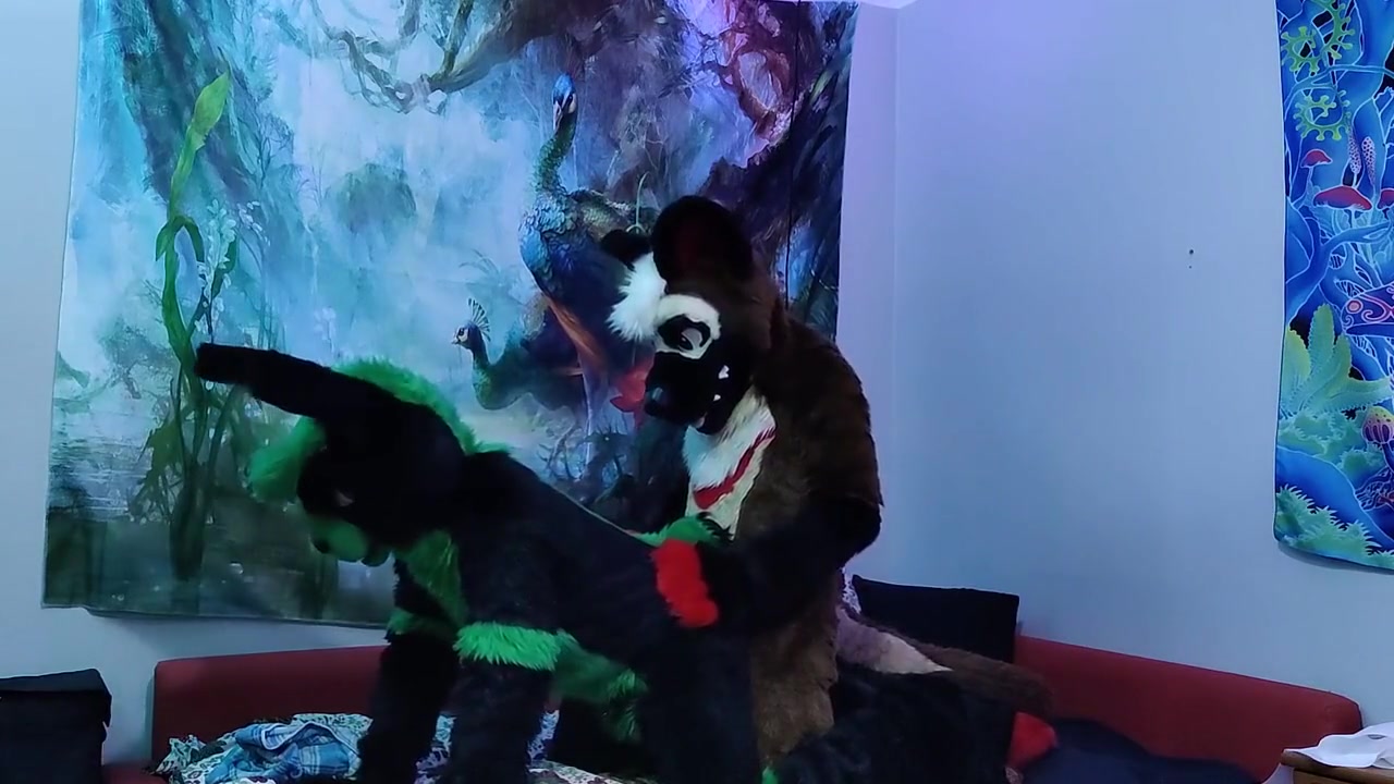 Sheppie Bangs A Bunny And Makes Him Cum Fursuit Yiff